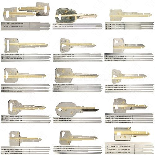 AccuReader Motorcycle Set of 15 Lock Decoders