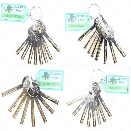 OCTOKEYS - Just the Doors - GM 10 Cut Laser Keys to Unlock Doors - Try-Out Set OF 32 Keys